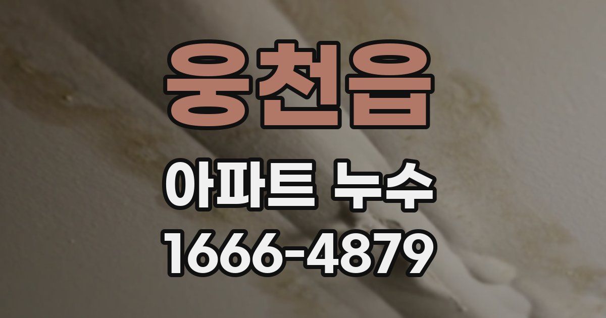 웅천읍 아파트 누수