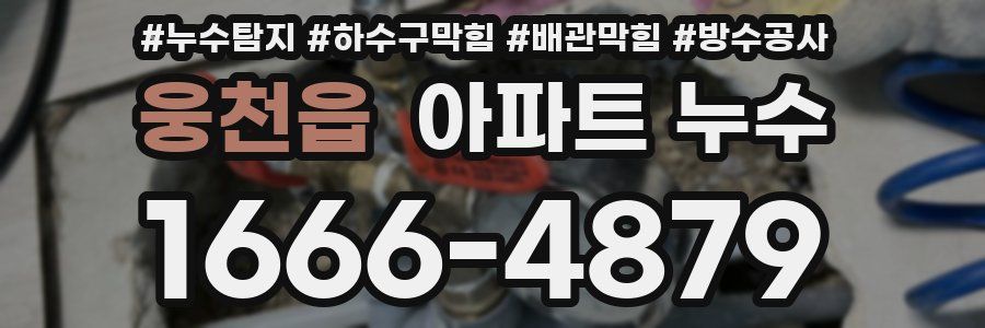 웅천읍 아파트 누수