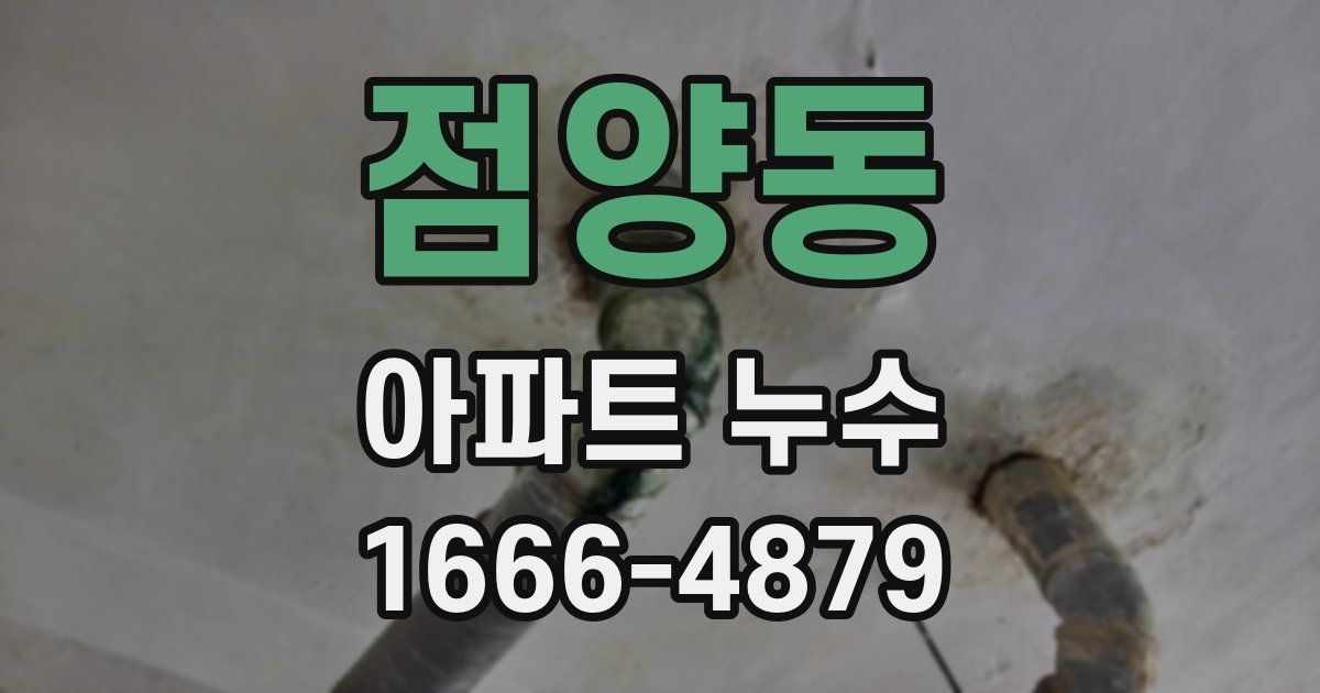 점양동 아파트 누수