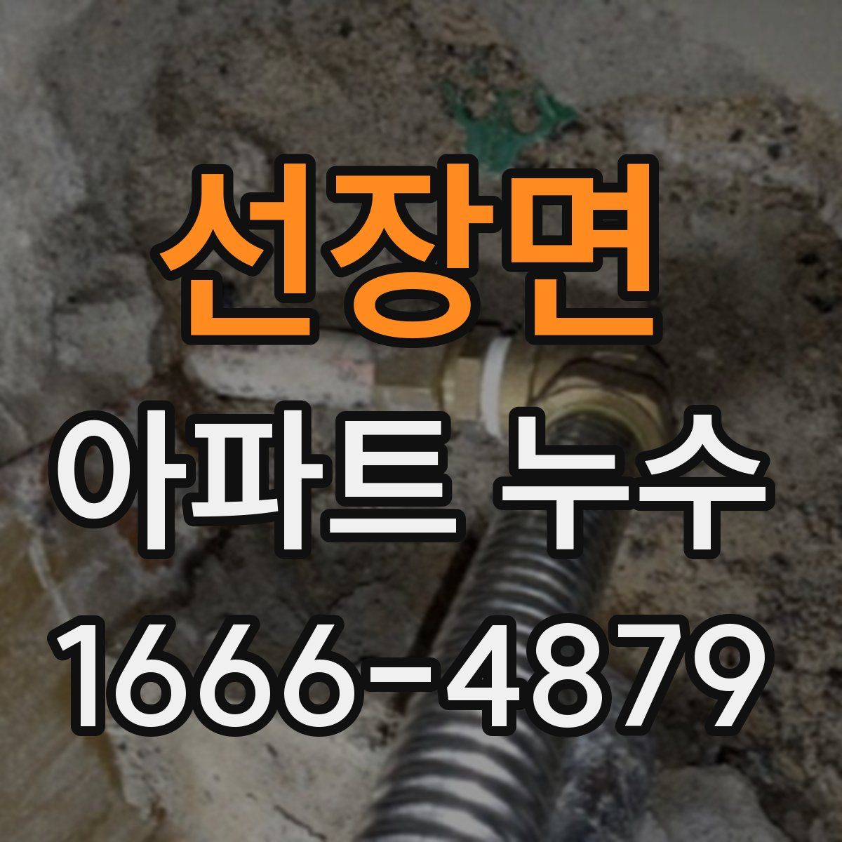 선장면 아파트 누수