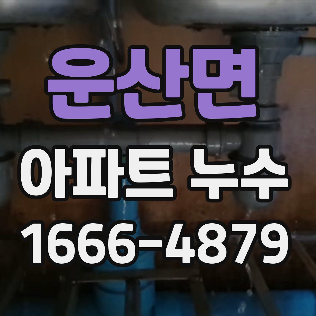 운산면 아파트 누수