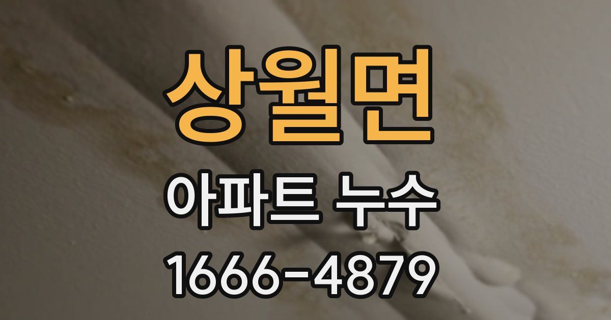 상월면 아파트 누수