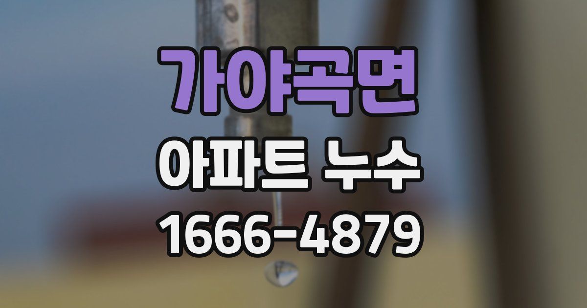 가야곡면 아파트 누수