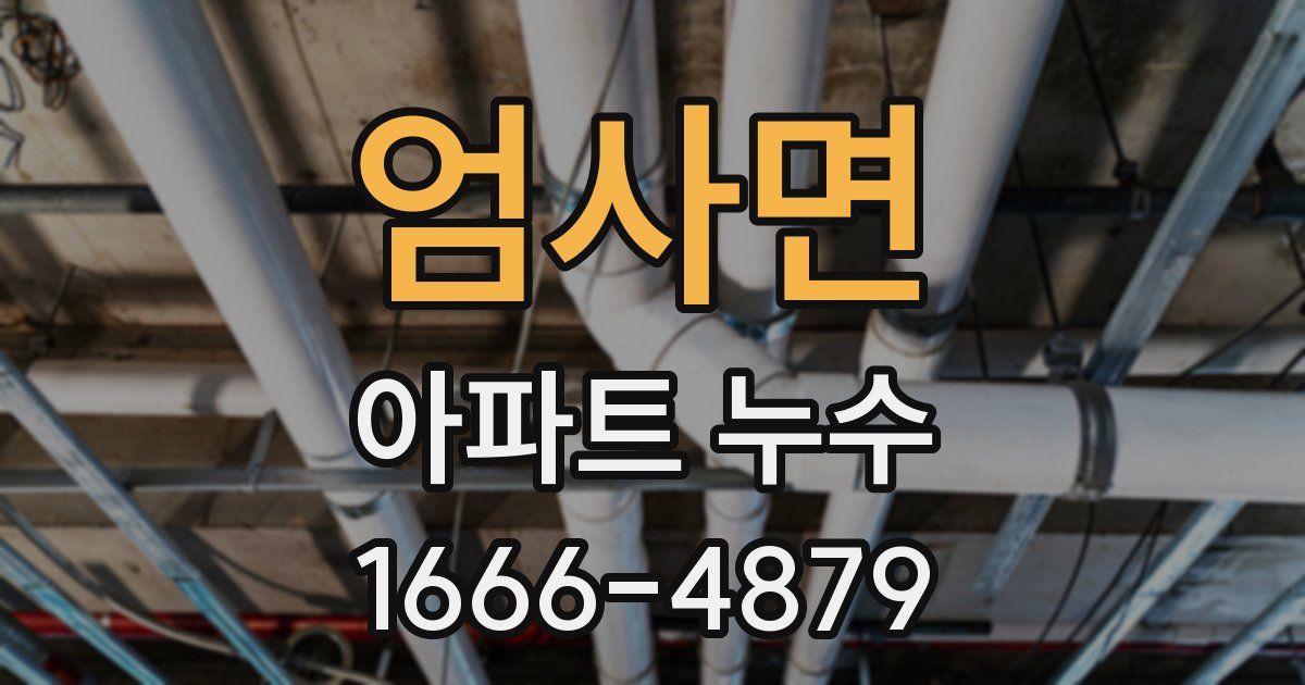 엄사면 아파트 누수