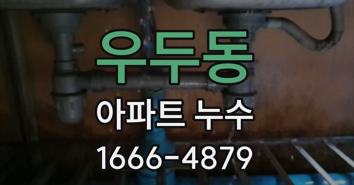 우두동 아파트 누수