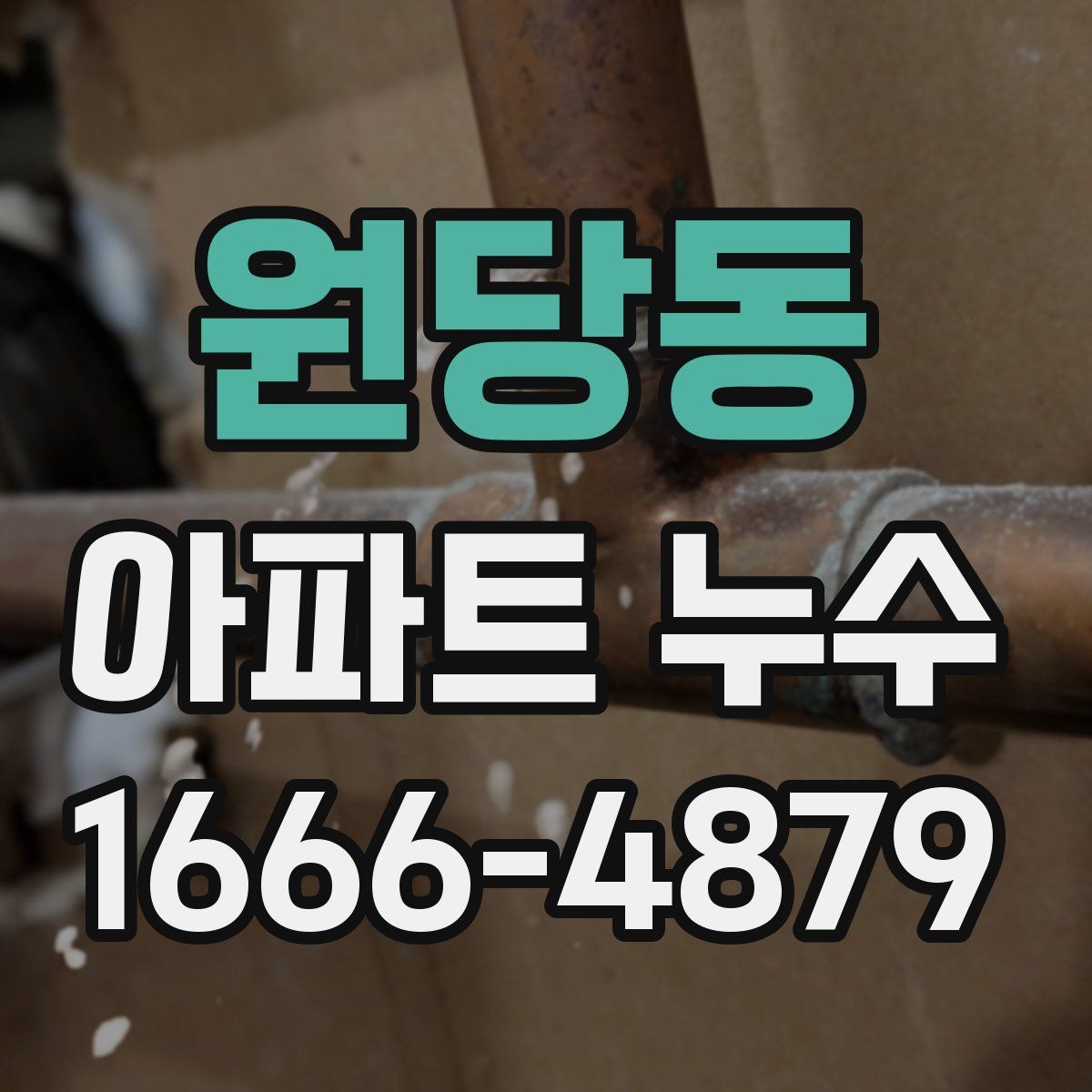 원당동 아파트 누수