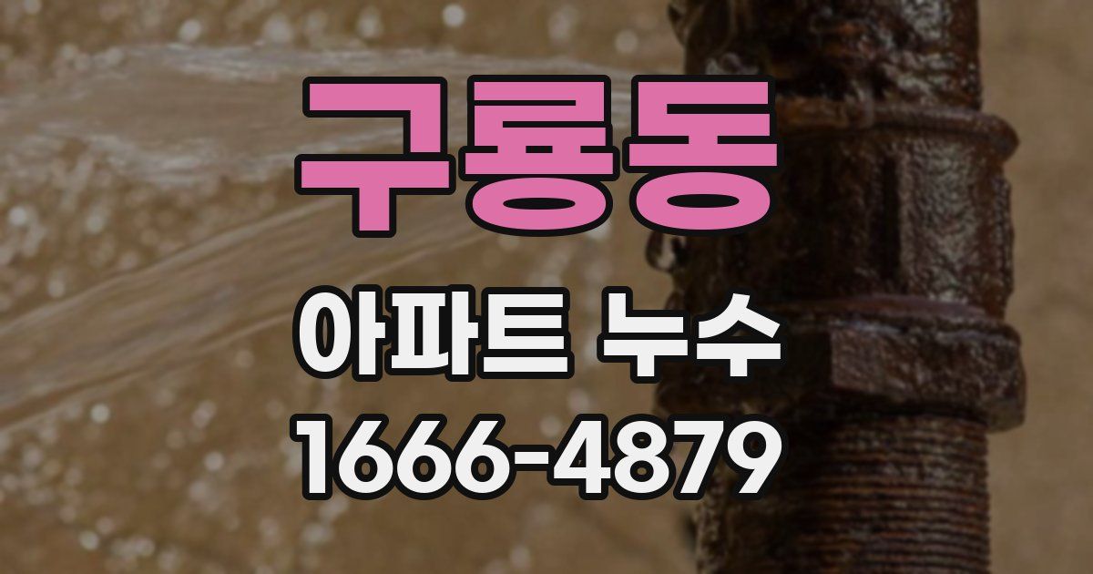 구룡동 아파트 누수