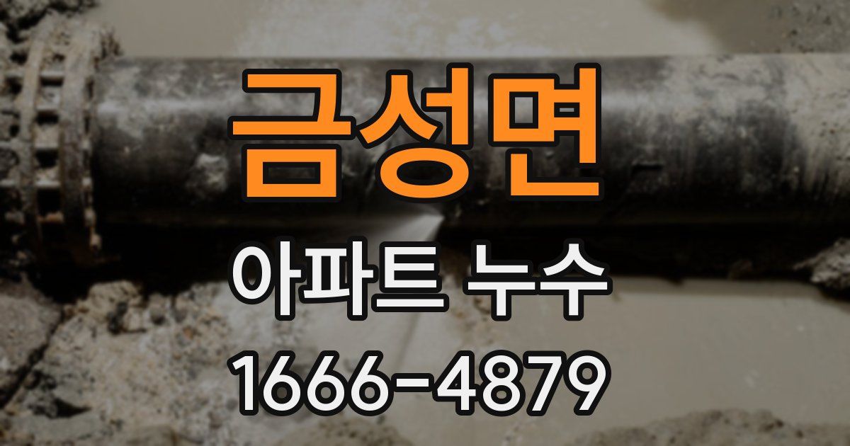 금성면 아파트 누수