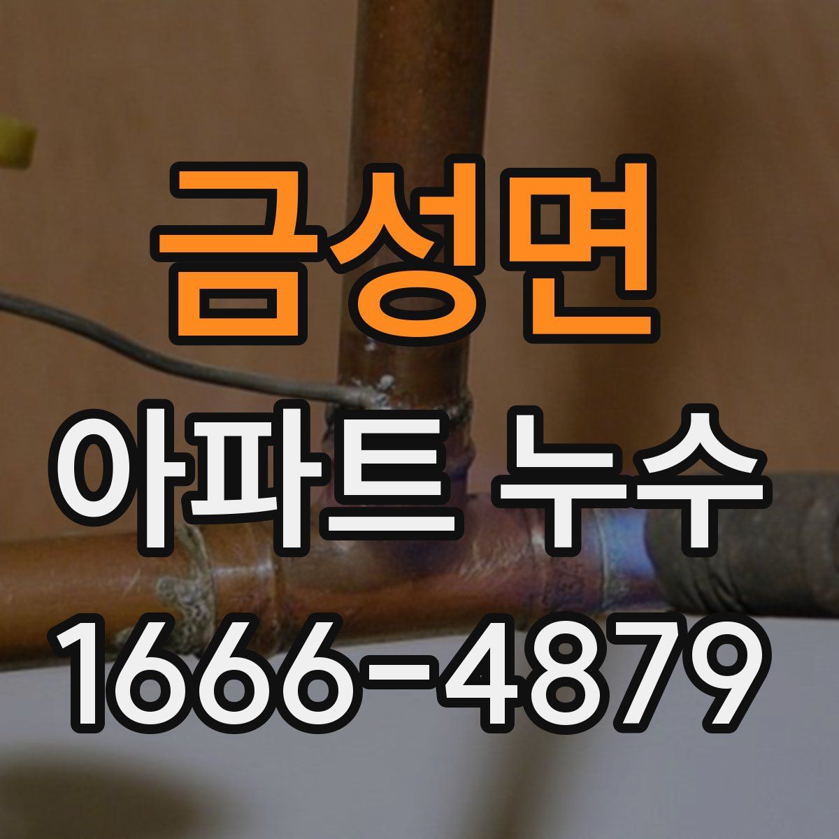 금성면 아파트 누수