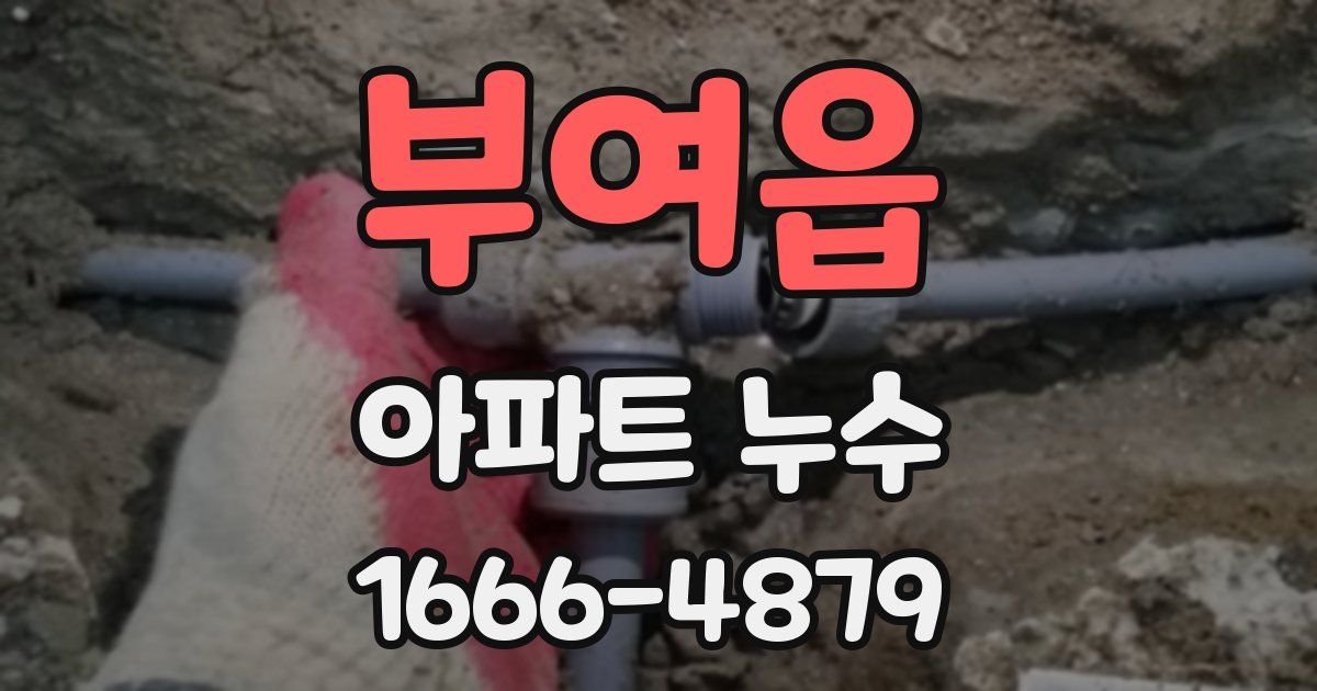 부여읍 아파트 누수