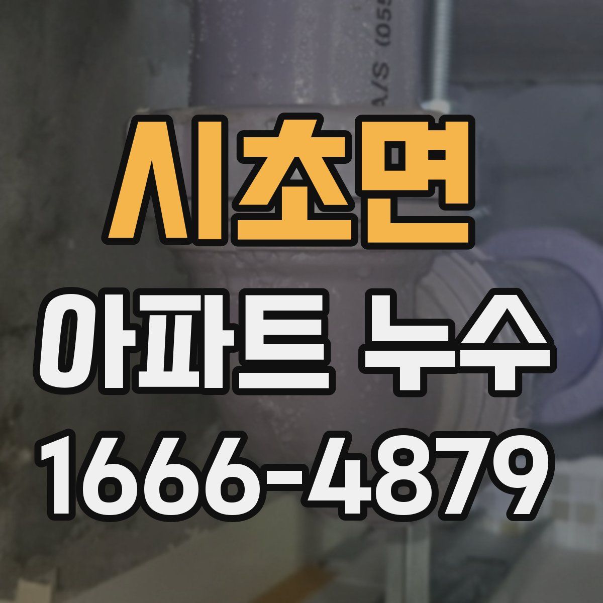 시초면 아파트 누수