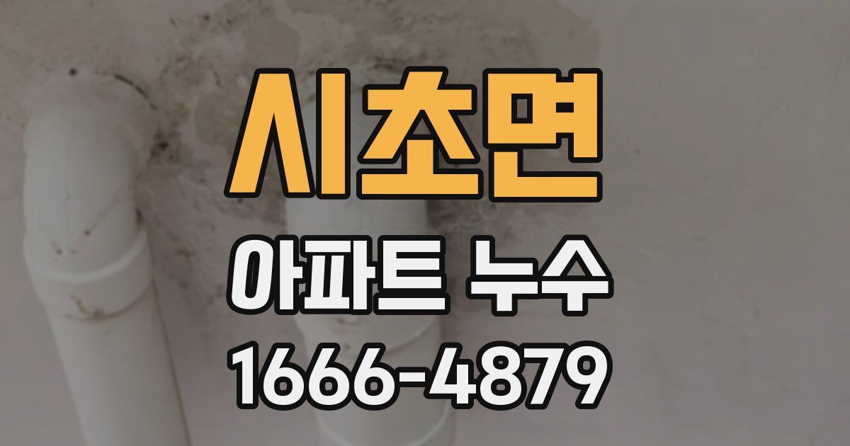 시초면 아파트 누수