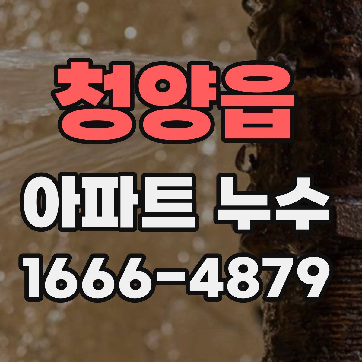 청양읍 아파트 누수
