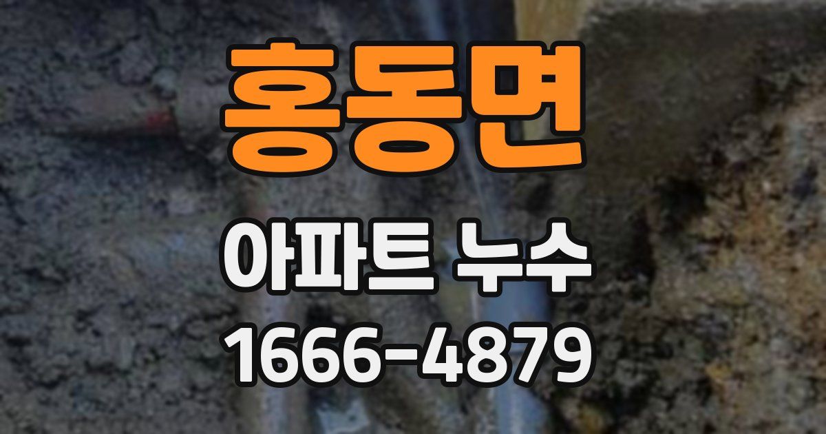 홍동면 아파트 누수