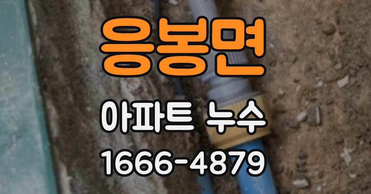 응봉면 아파트 누수
