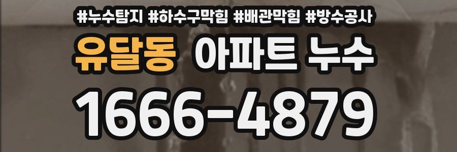 유달동 아파트 누수