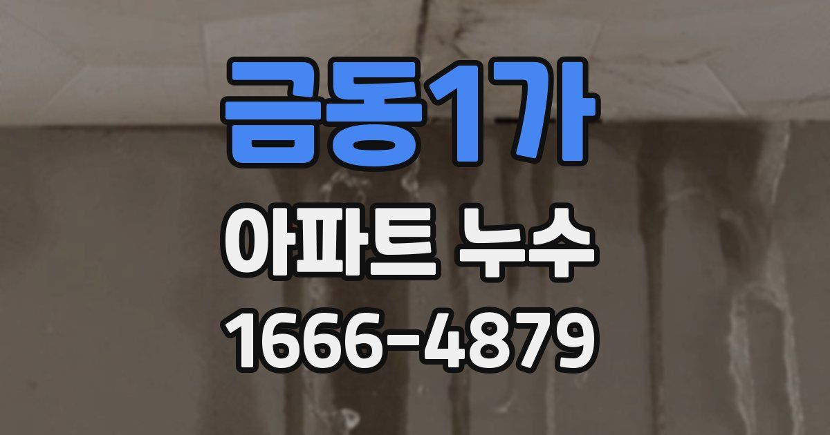 금동1가 아파트 누수