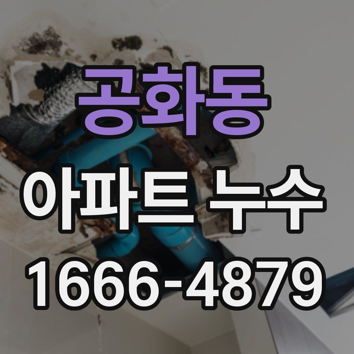 공화동 아파트 누수