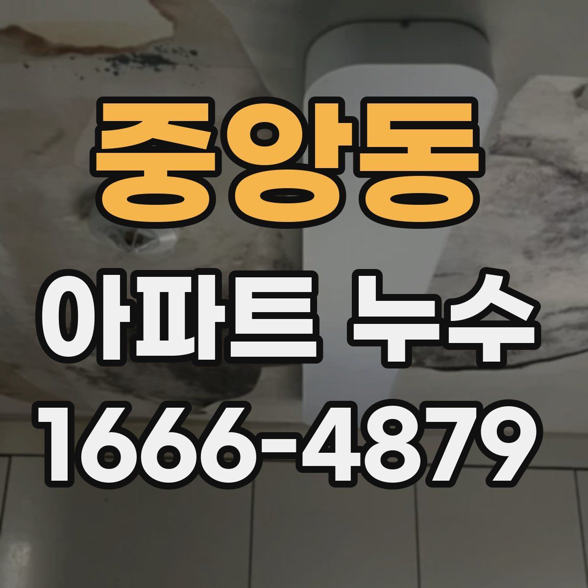 중앙동 아파트 누수