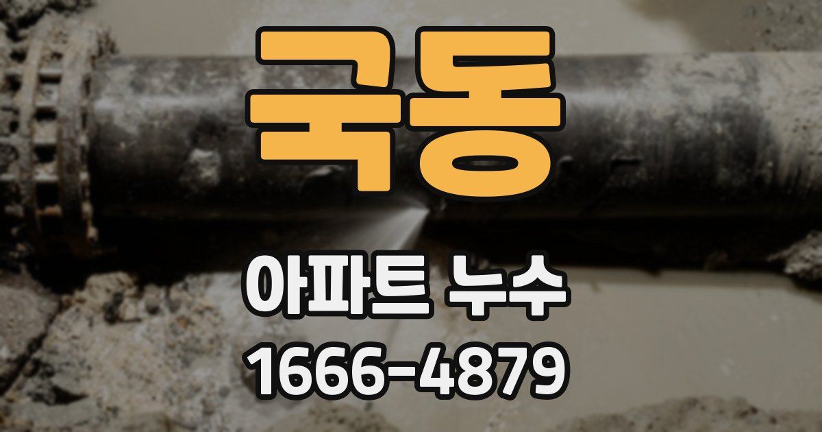 국동 아파트 누수