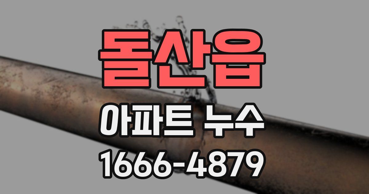 돌산읍 아파트 누수