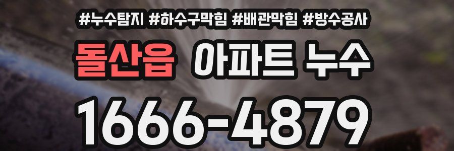 돌산읍 아파트 누수