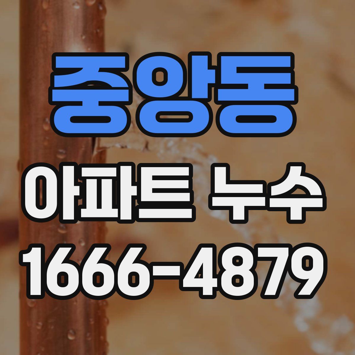 중앙동 아파트 누수