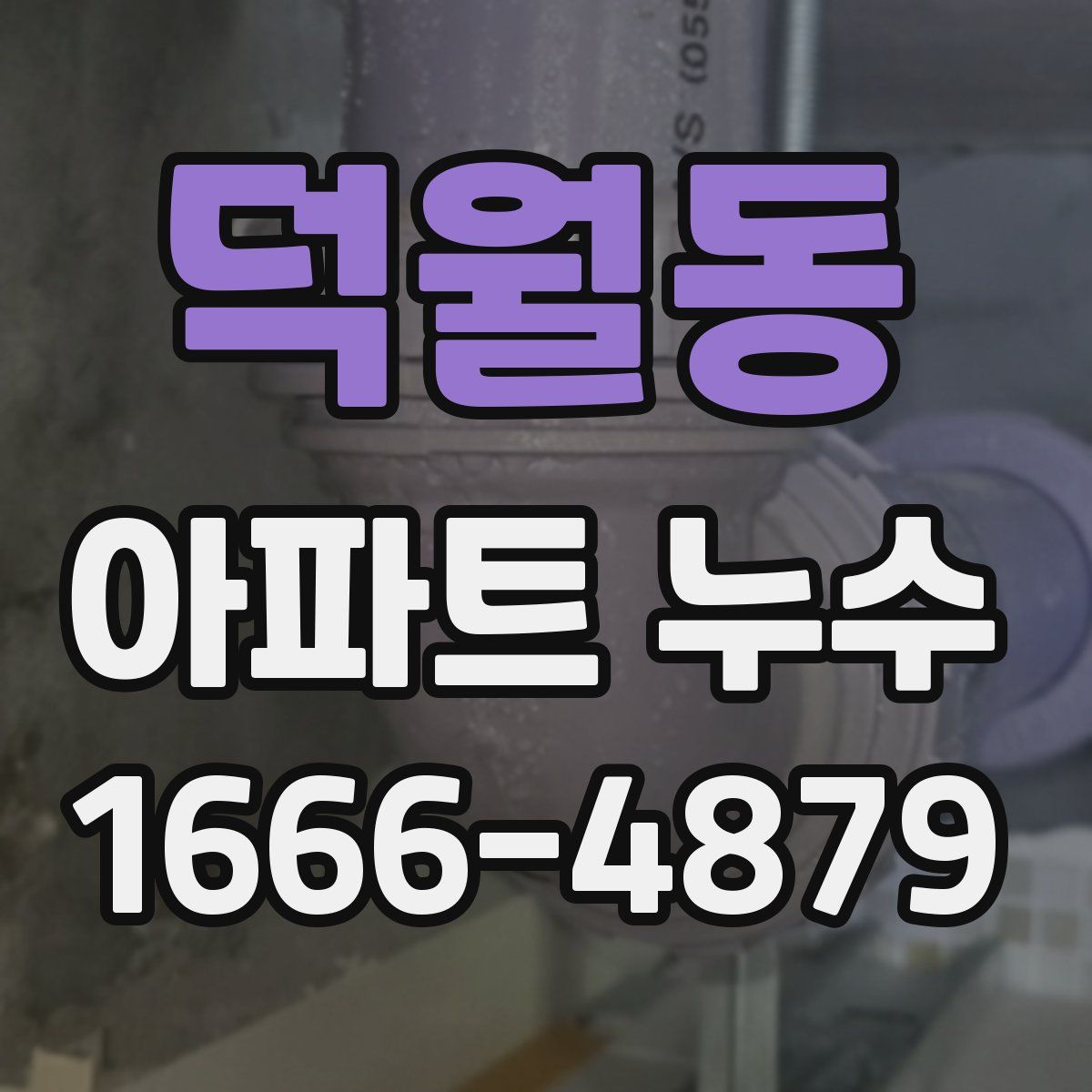 덕월동 아파트 누수