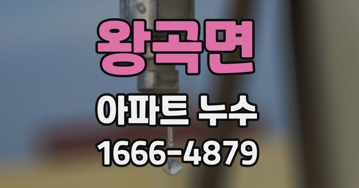 왕곡면 아파트 누수