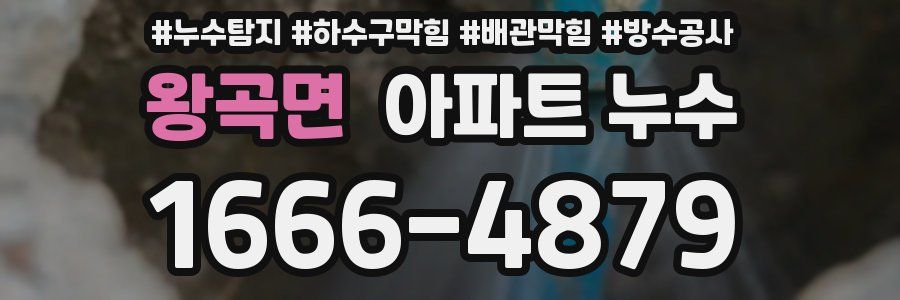 왕곡면 아파트 누수