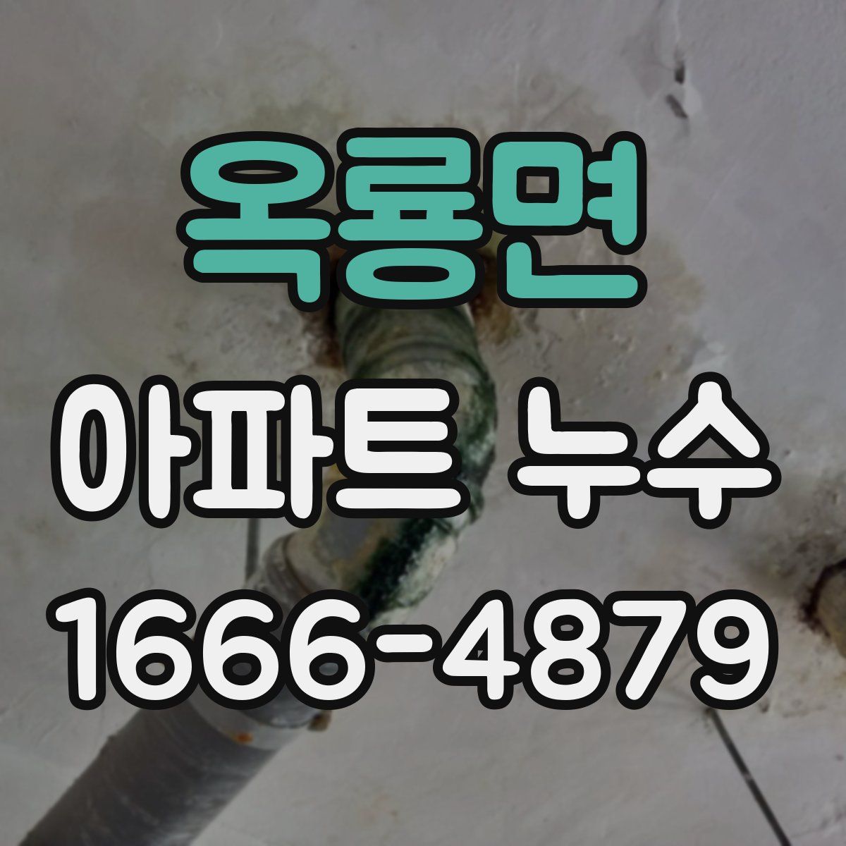 옥룡면 아파트 누수