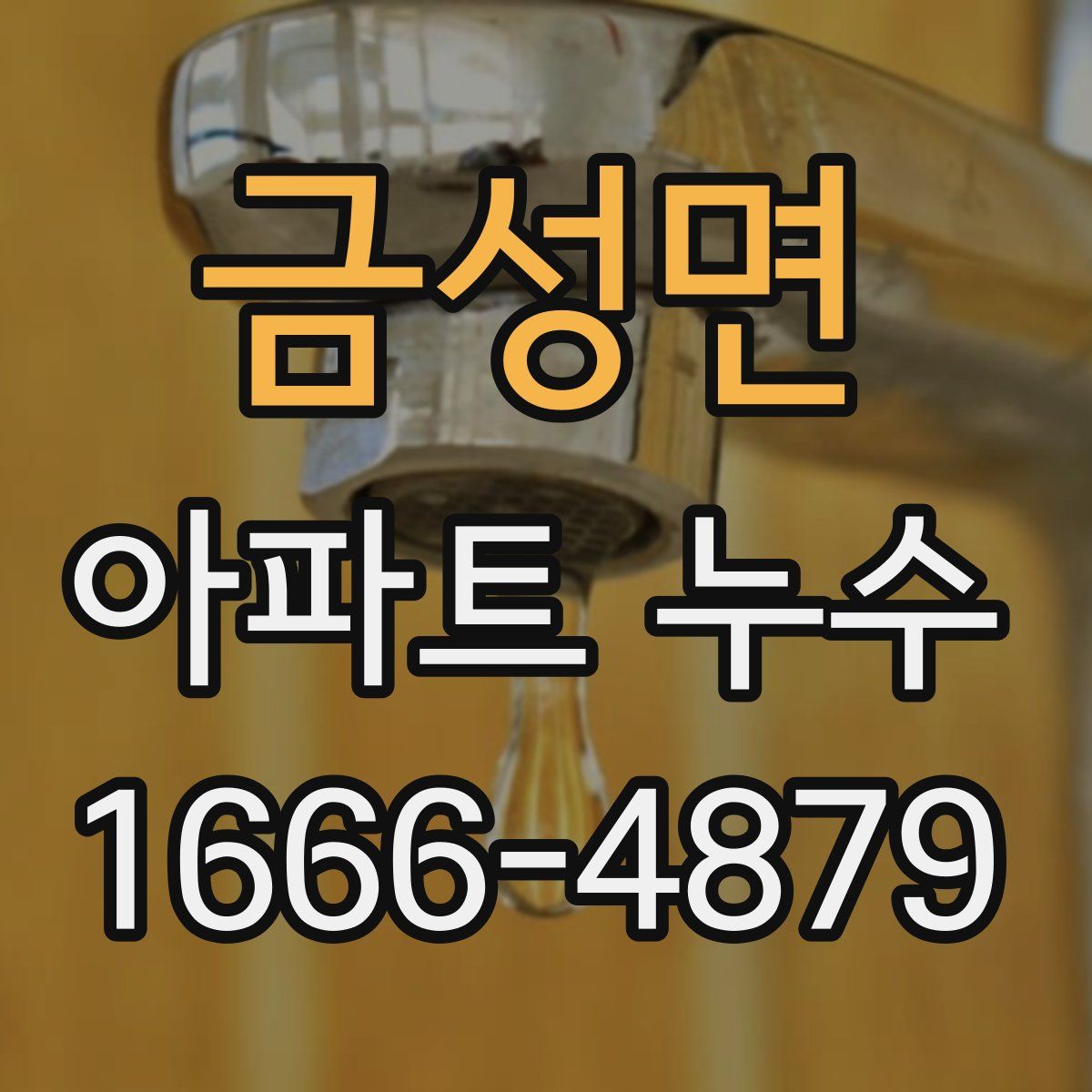 금성면 아파트 누수