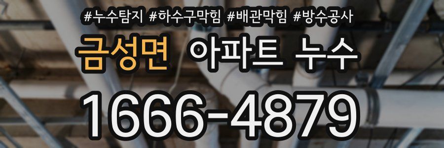 금성면 아파트 누수