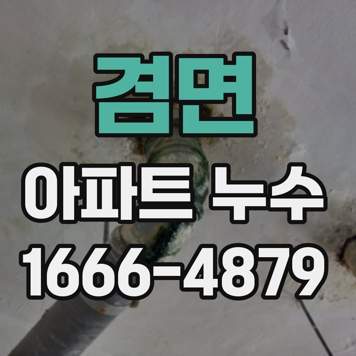 겸면 아파트 누수