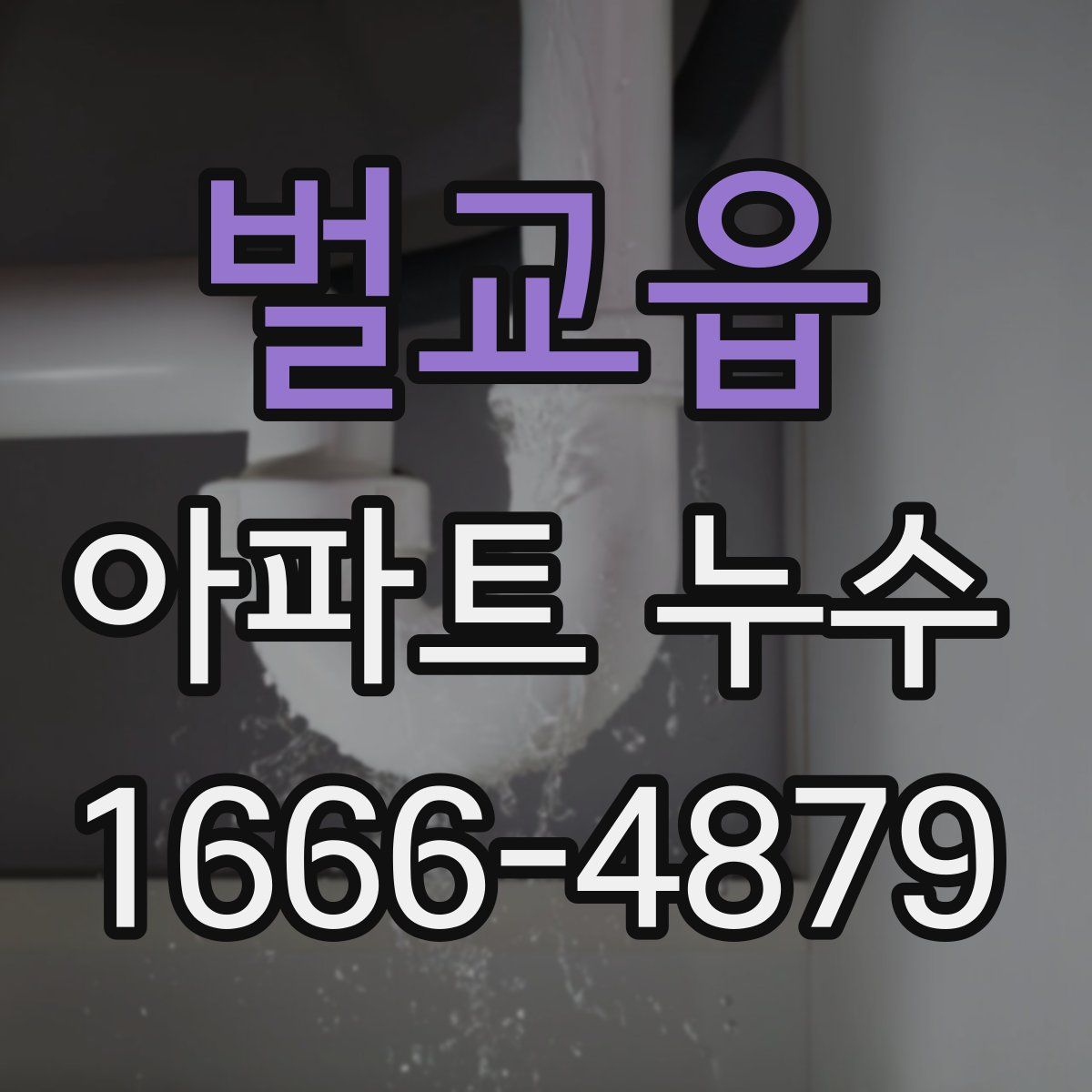 벌교읍 아파트 누수