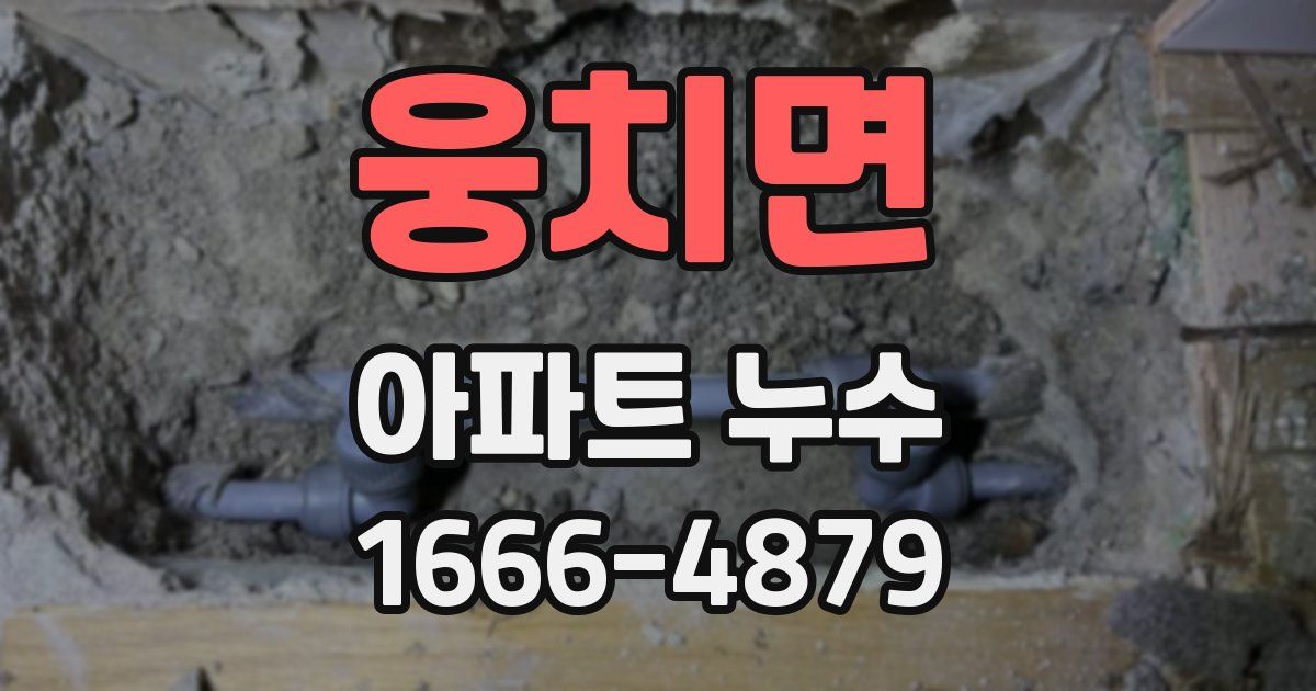 웅치면 아파트 누수