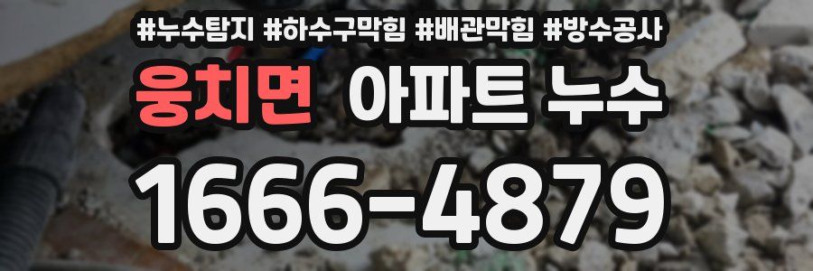 웅치면 아파트 누수