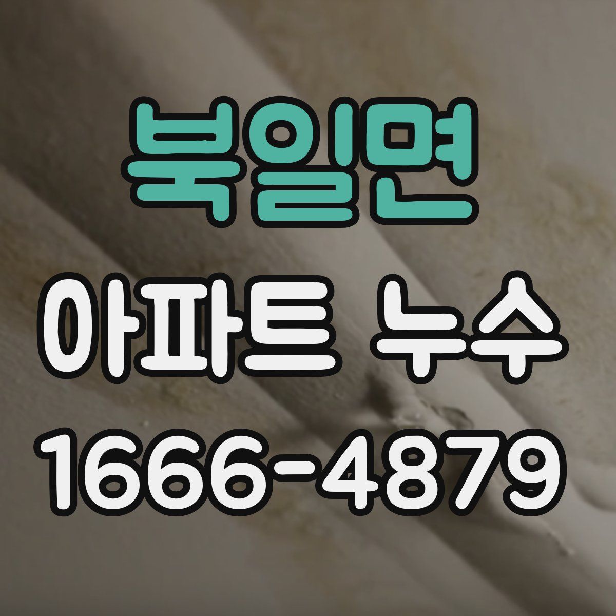 북일면 아파트 누수