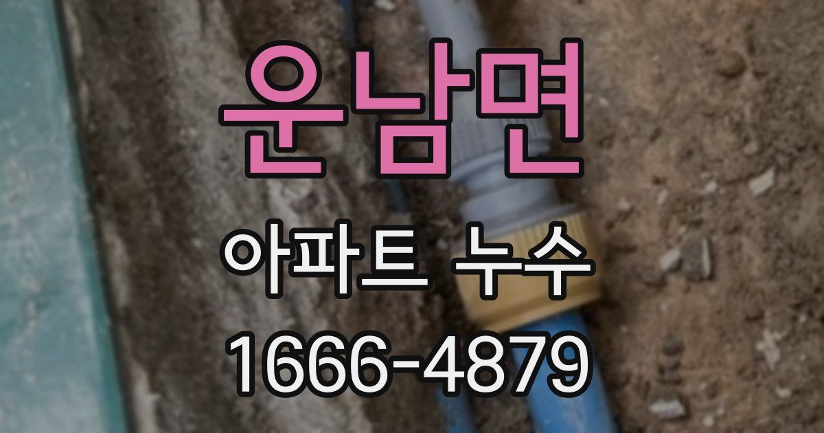 운남면 아파트 누수