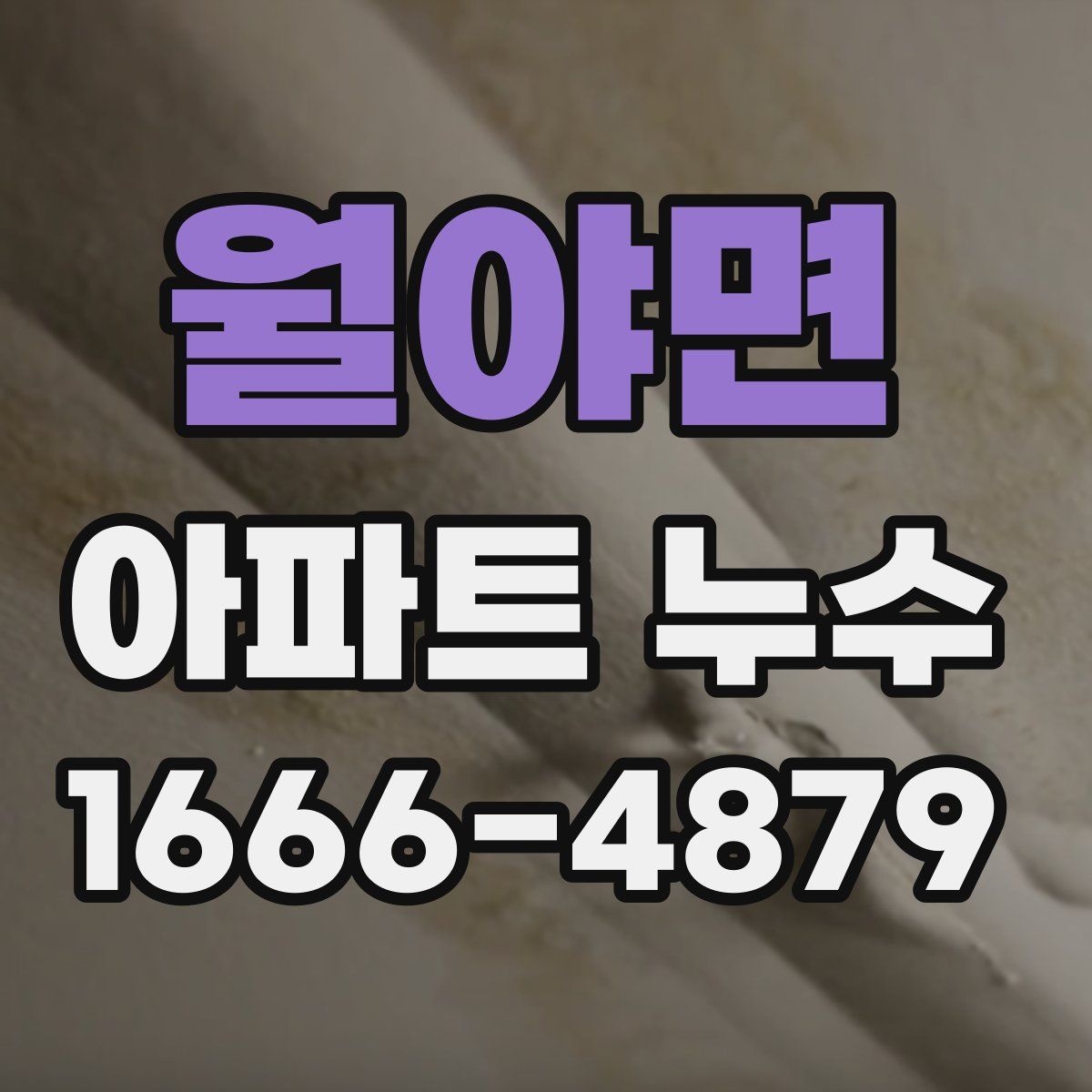월야면 아파트 누수