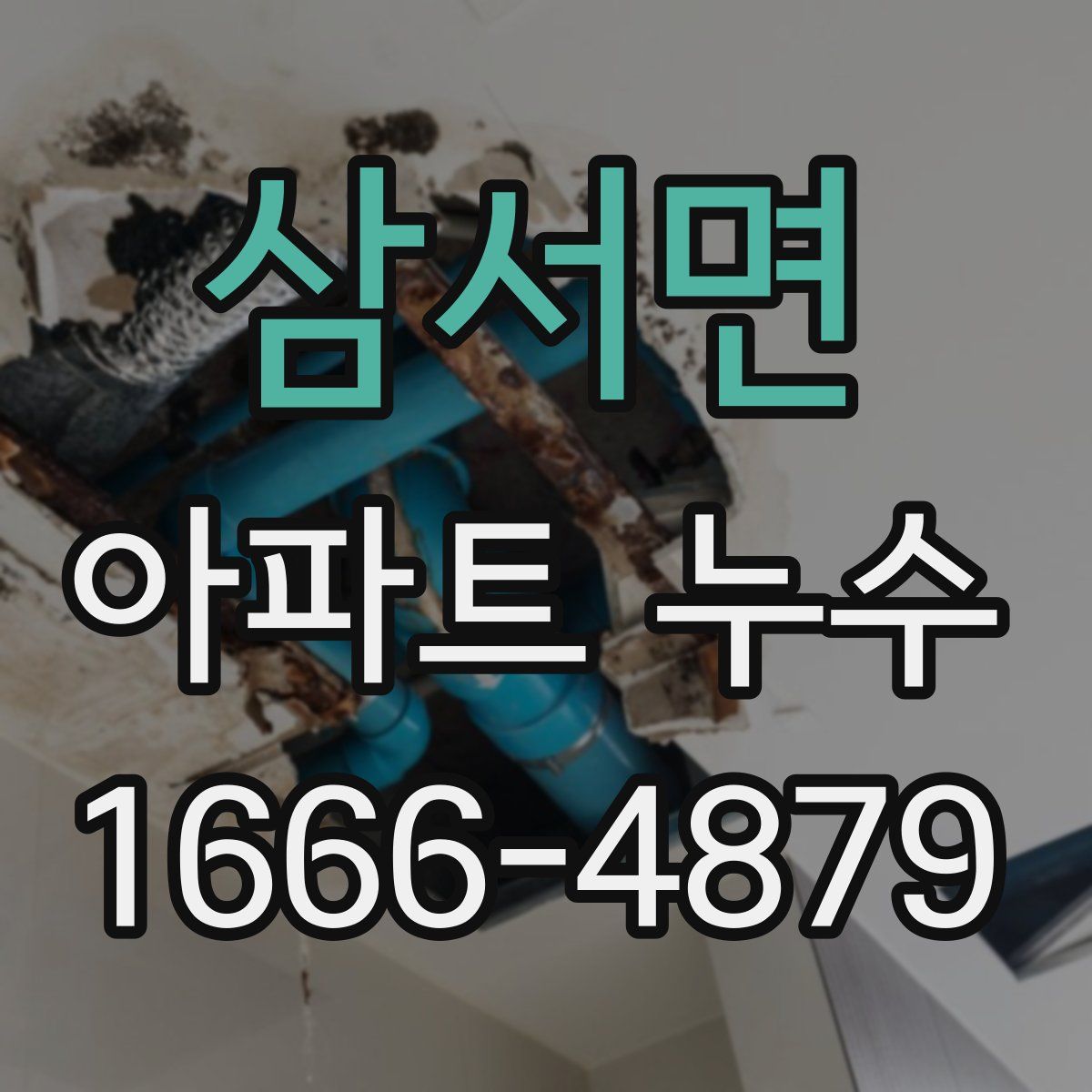삼서면 아파트 누수