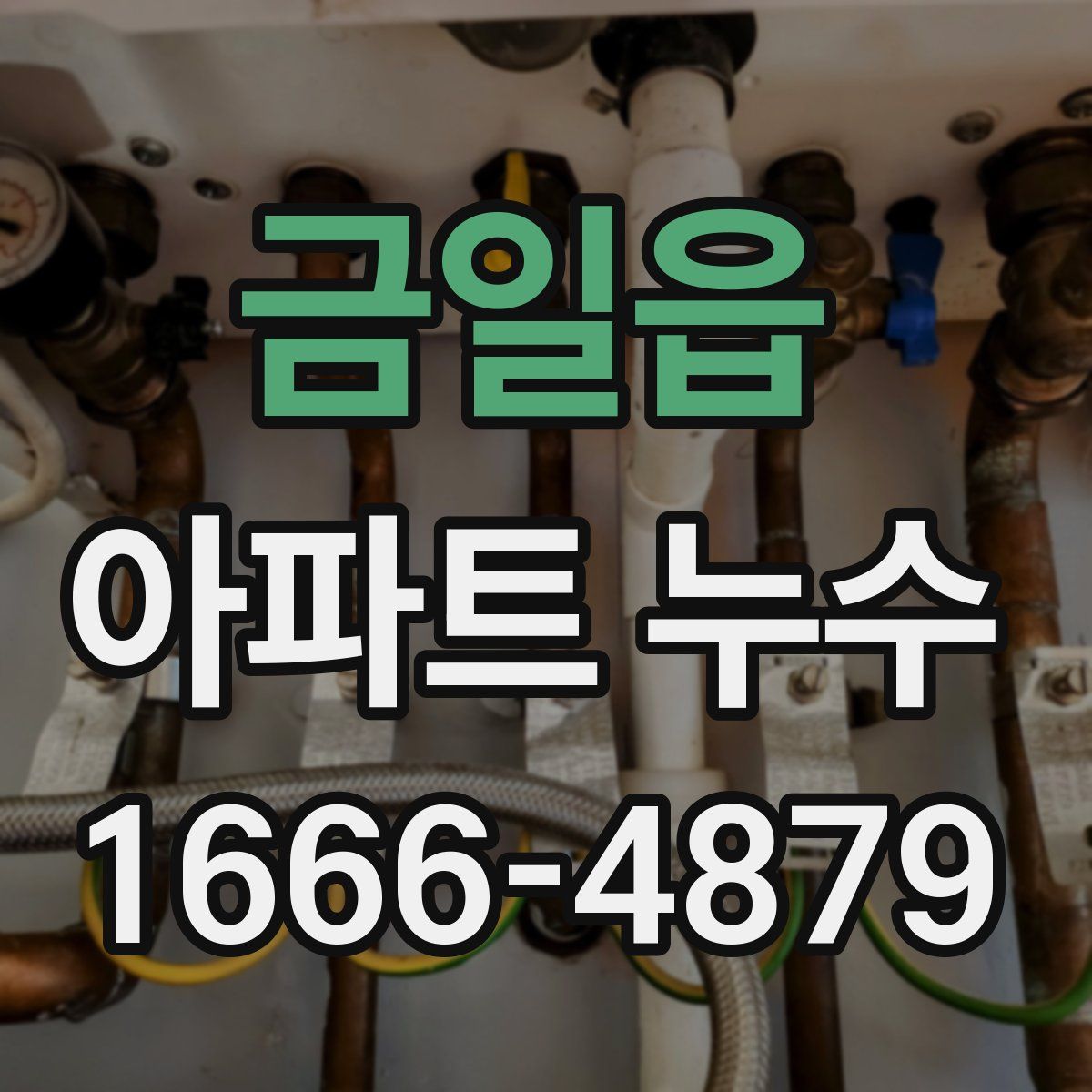 금일읍 아파트 누수
