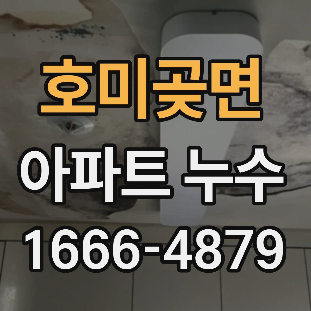 호미곶면 아파트 누수