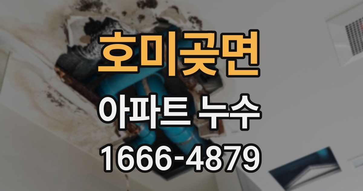 호미곶면 아파트 누수