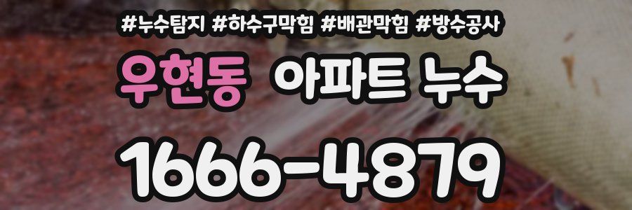우현동 아파트 누수