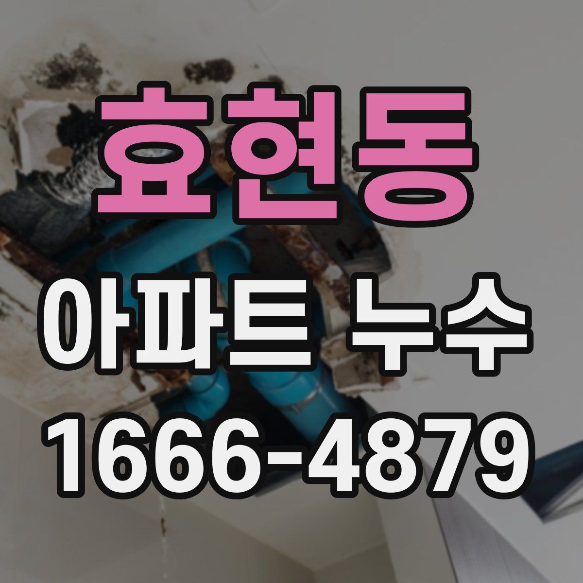 효현동 아파트 누수