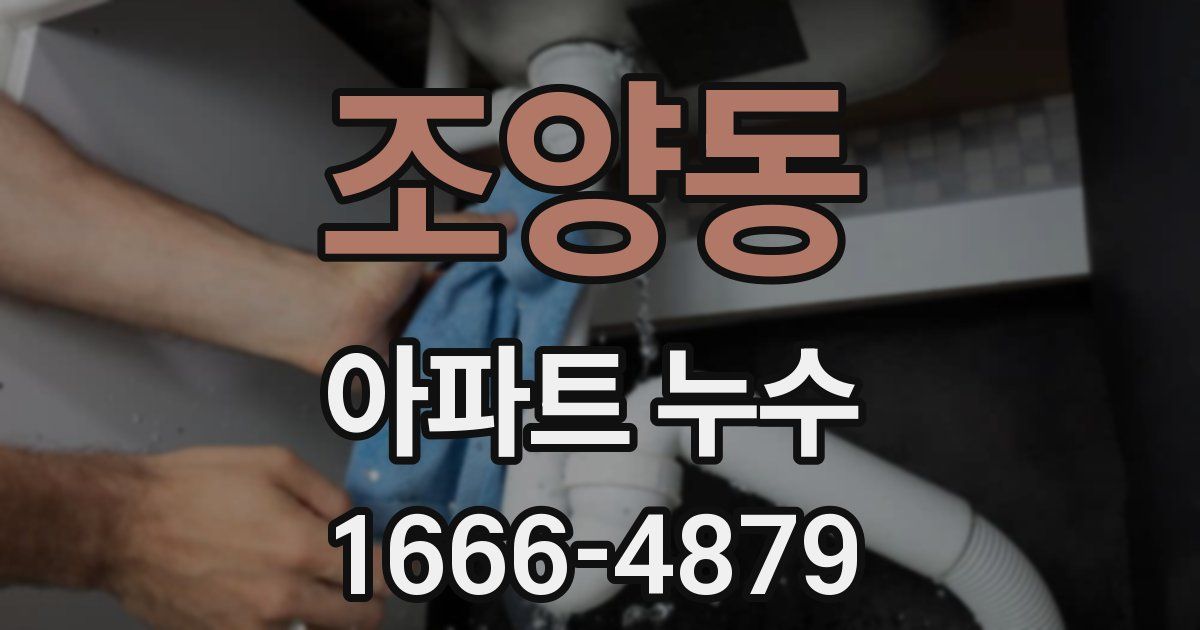 조양동 아파트 누수