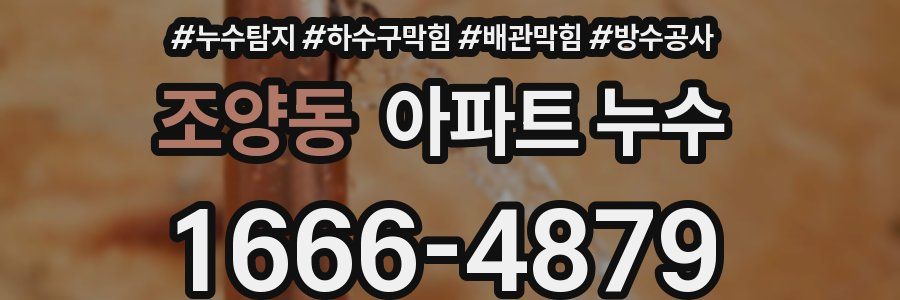 조양동 아파트 누수