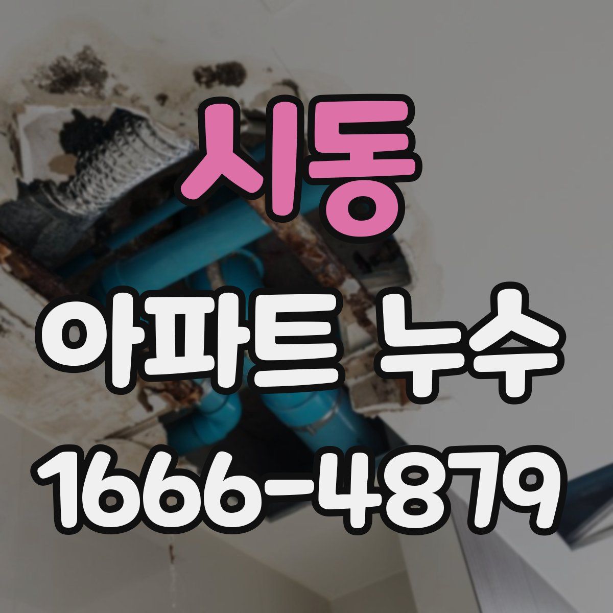 시동 아파트 누수