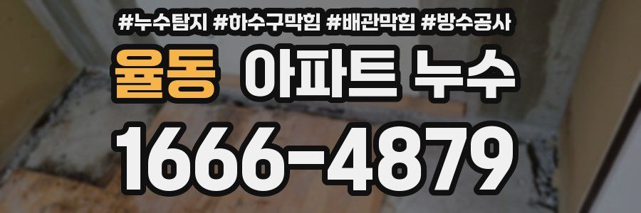 율동 아파트 누수